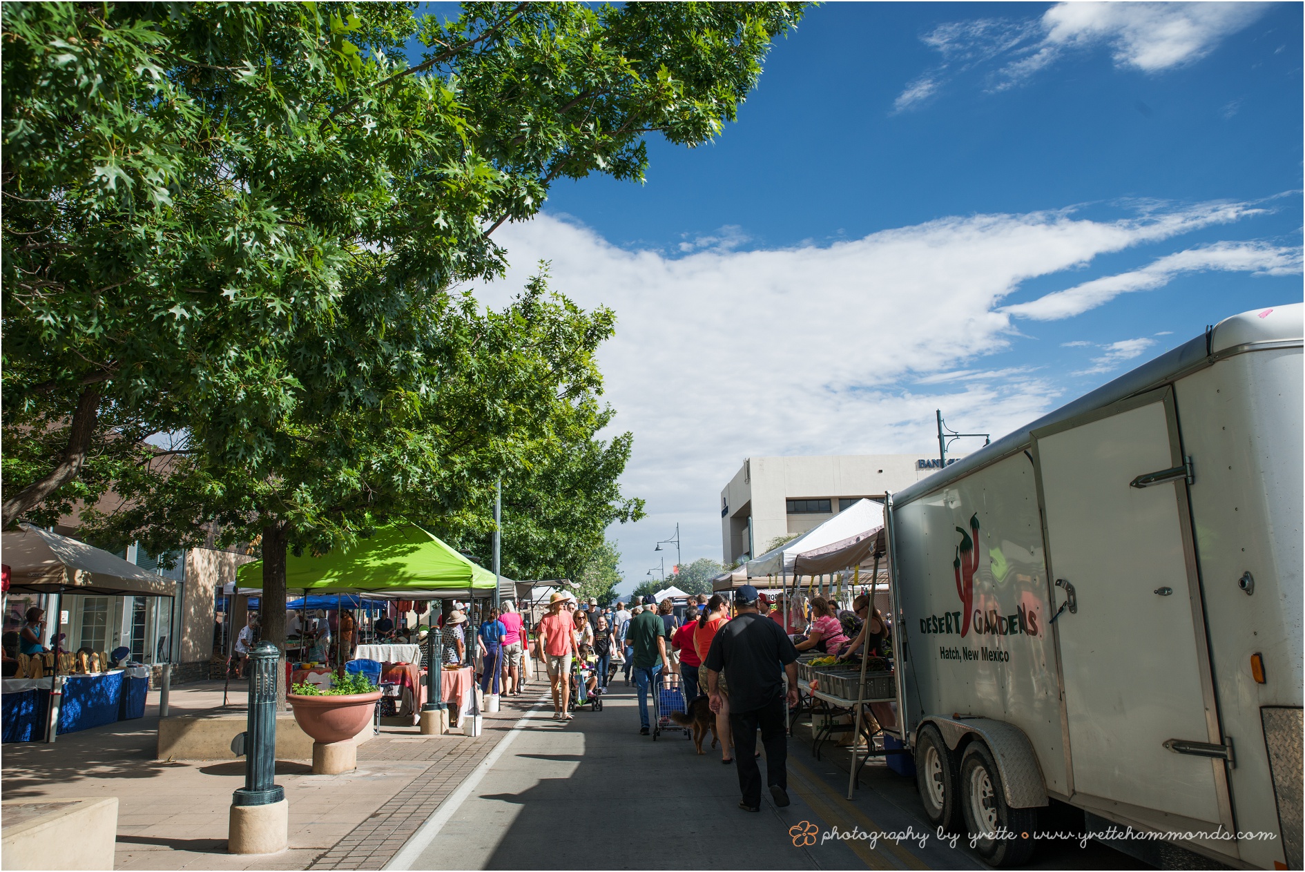 Las Cruces Farmers' Market Photography by Yvette